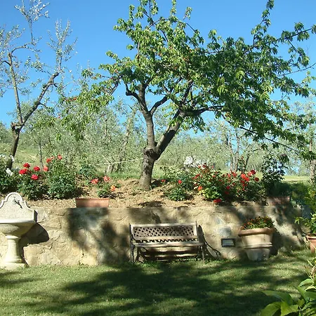 カーサディオリーヴォ San Jacopo al Girone
